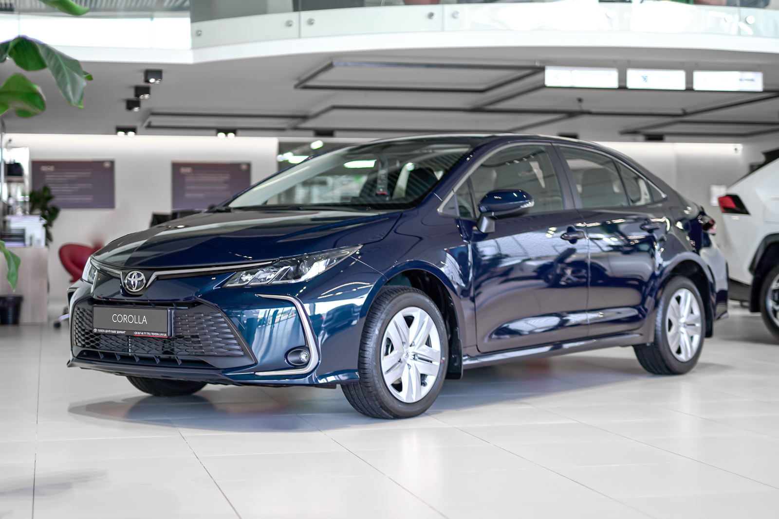 corolla_dsc8510_1600