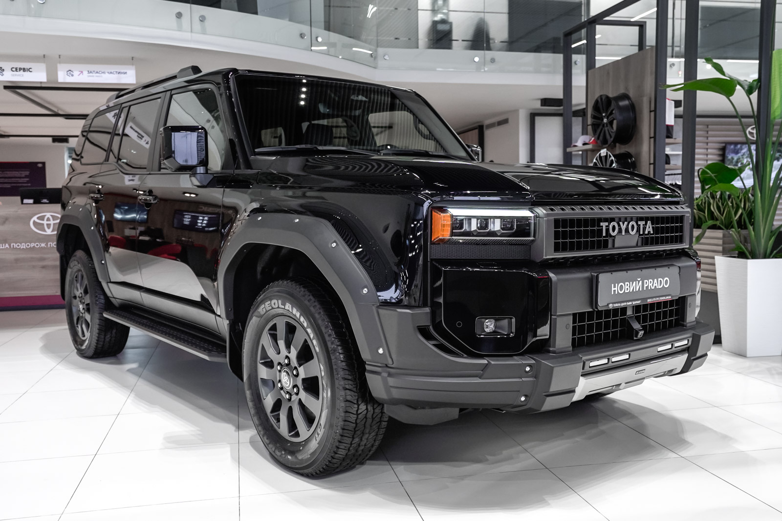 prado_23102025_dsc7028_1600_70