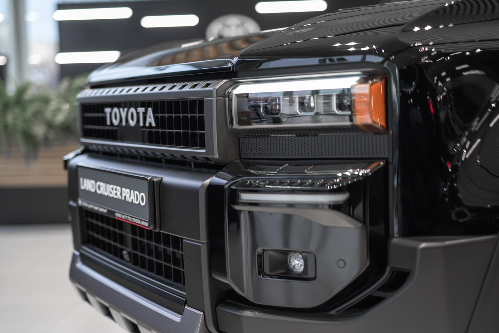 prado_08122025_dsc0851_1600_70