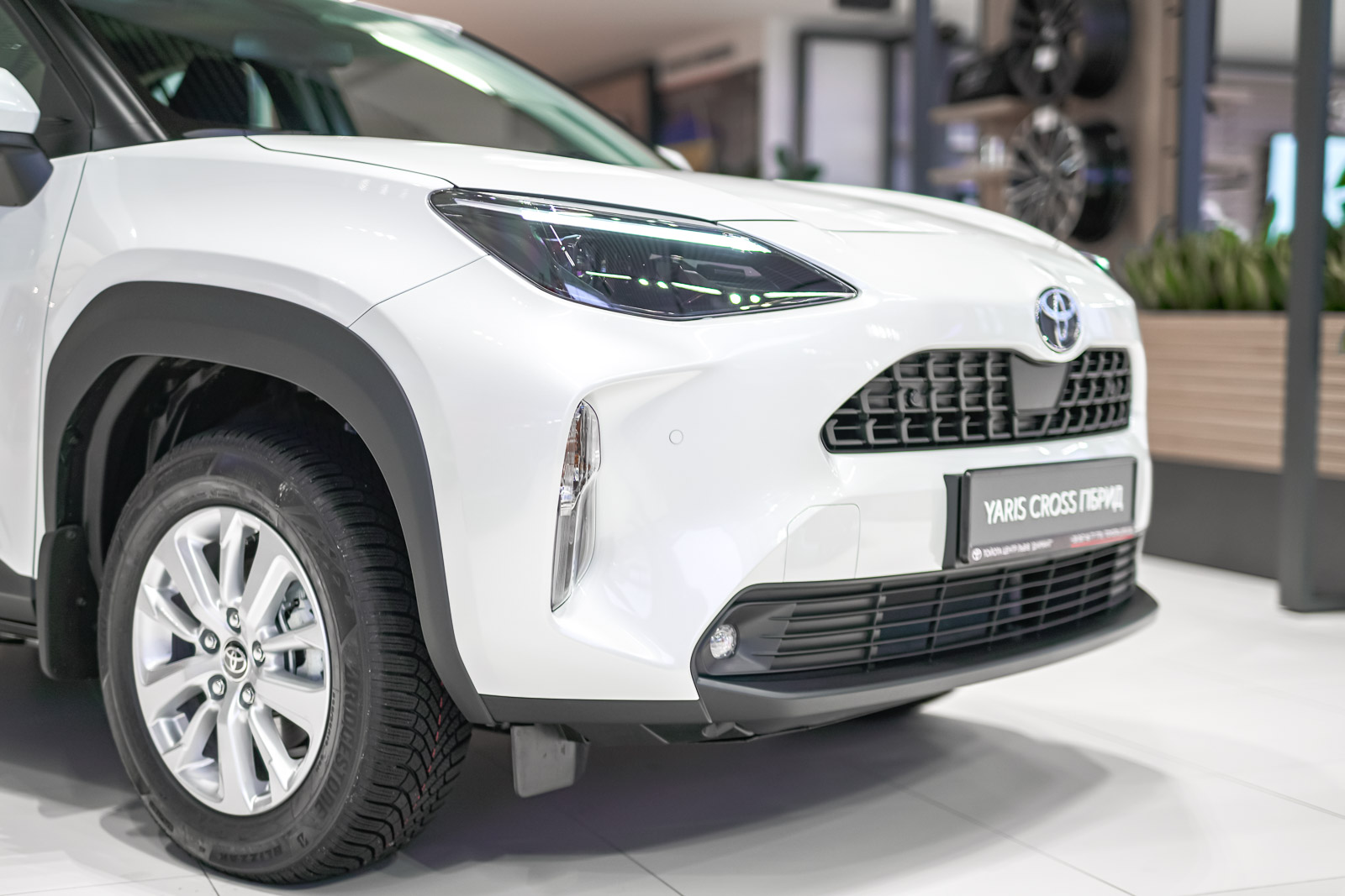 yc_28012026_dsc3986_1600_70