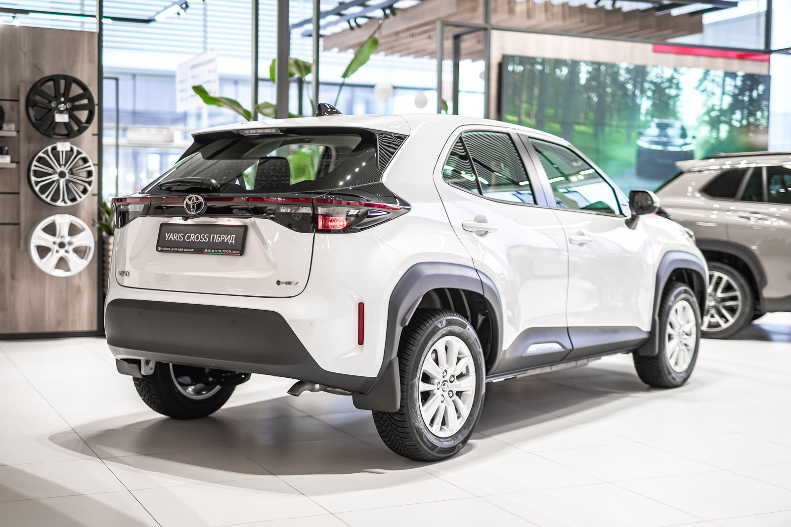 yc_28012026_dsc3999_1600_70