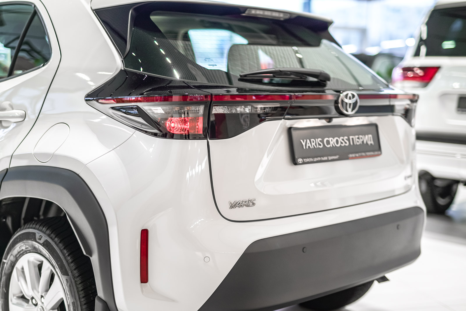 yc_28012026_dsc4003_1600_70