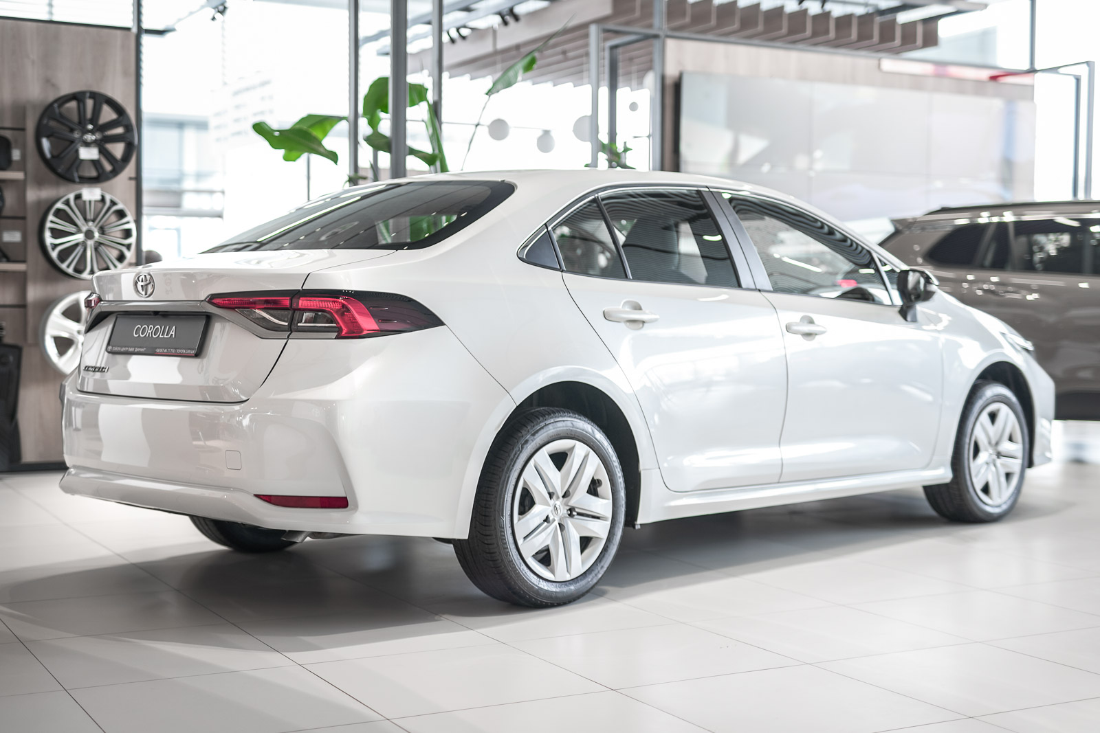 corolla_25032026_dsc7031_1600