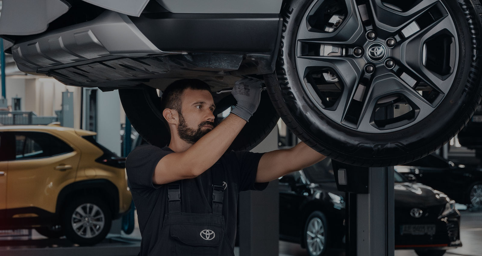 service10plus_dn_01082026_1600x850
